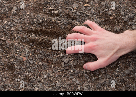 Man's hand clinging to a stony ground Stock Photo