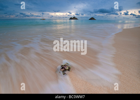 Incoming tide washes over a piece of coral on the sands of Lanikai beach just before sunrise. Stock Photo