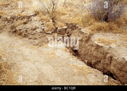 earthquake fault landers california 1992 richter 7.3 temblor crack earth seismic Stock Photo