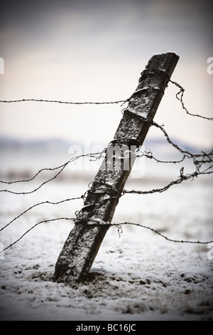 Old fence post and barbed wire in the snow. Stock Photo