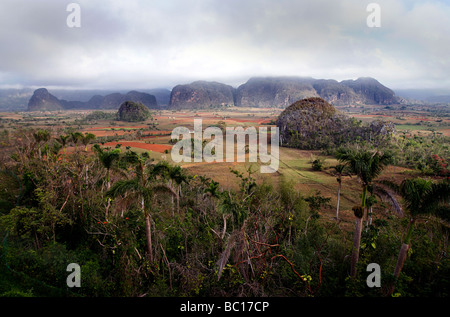 View across the landscpae of Viñales valley, Pinar del Rio Province, Cuba Stock Photo