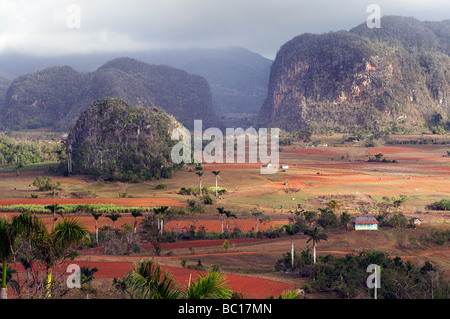 View across the landscpae of Viñales valley, Pinar del Rio Province, Cuba Stock Photo