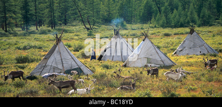 Mongolia, Khovsgol Province, near Tsagannur, red taiga, Tsaatan camp Stock Photo