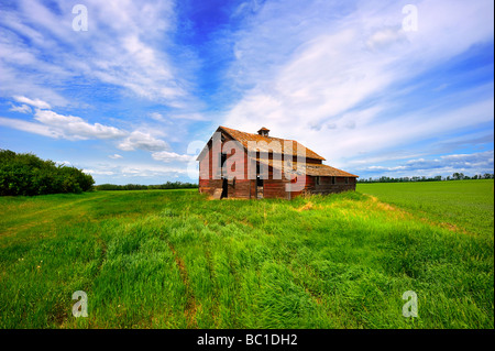 a scenic of an abandoned red barn rural Alberta Canada Stock Photo