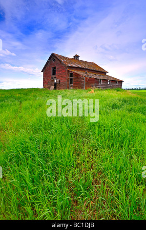 a scenic of an abandoned red barn rural Alberta Canada Stock Photo