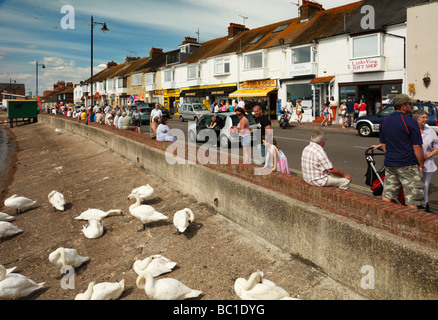 Day trippers. Pier Road, River Arun, Littlehampton, West Sussex, England,UK. Stock Photo