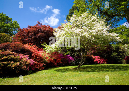 Exbury Ornamental Botanical Gardens in Hampshire, UK Stock Photo