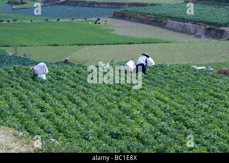 Arequipa Valley Stock Photo