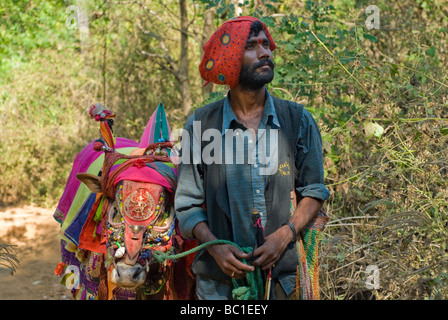 Man begging for alms with his'holi' cow. Palolem beach, Goa, India. Stock Photo