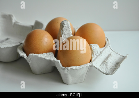 Side View of Four Organic Eggs in a Box Stock Photo