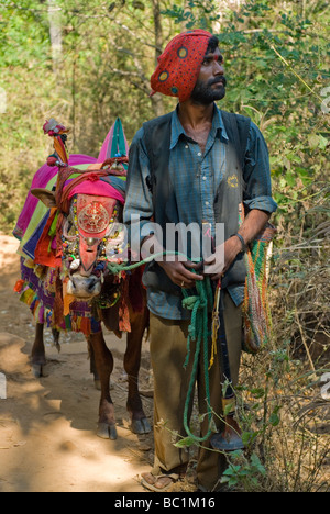 Man begging for alms with his'holi' cow. Palolem beach, Goa, India. Stock Photo