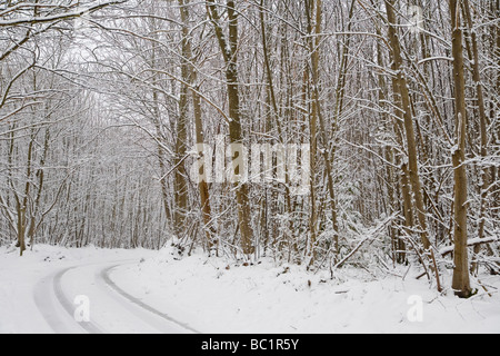 Snow covered rural scene in Kent, England. Stock Photo