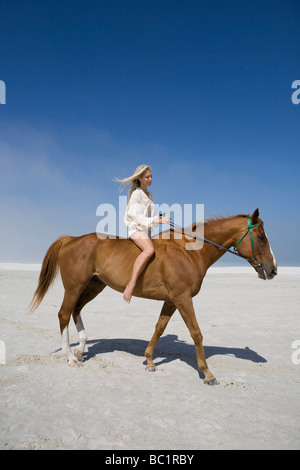 Mid-adult woman riding horse on beach Stock Photo