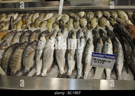 Supermarket Fresh Fish Counter Ayala Center Cebu City Philippines Stock Photo