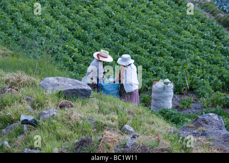 Arequipa Valley Stock Photo