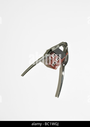 model house in nut cracker Stock Photo