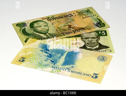 South East African Banknotes. Stock Photo