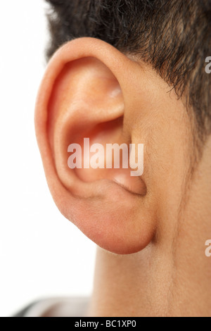 Close-Up Of Young Boy's Ear Stock Photo