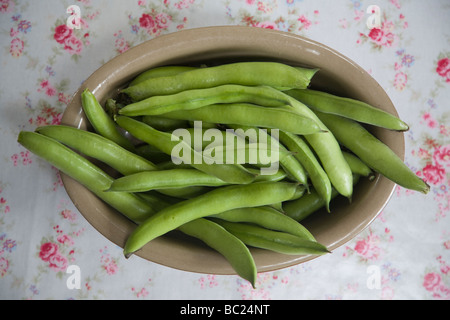 Broad bean pods in bowl on kitchen table Stock Photo