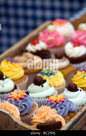 Tray of cup cakes  on display at a Food and Drinks Festival Derbyshire East Midlands England UK Stock Photo