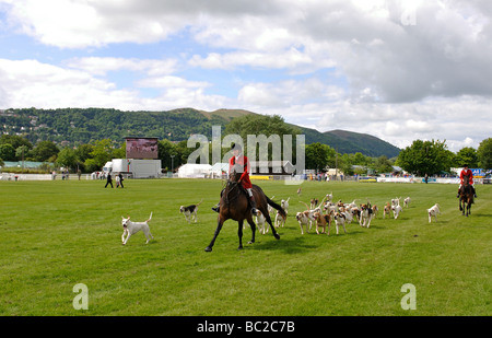 Huntsmen and hounds at the Three Counties Show, Great Malvern, UK Stock Photo
