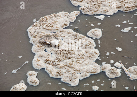 Polluted scum floating on the river Mersey near Warrington UK Stock Photo