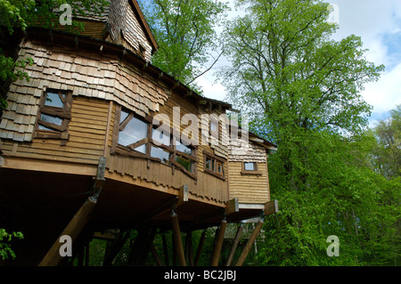 The tree house at Alnwick Castle, Northumberland Stock Photo