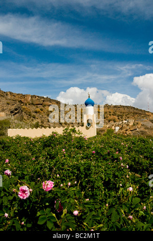 Mosque in village in Jabal el Akhdar,  Al Dakhiliyah region Sultanate of Oman Stock Photo