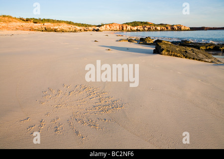 Coastline and cliffs at Cape Leveque on the Dampier Peninsula north of Broome Stock Photo