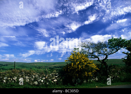 Clouds and Blue sky over Dartmoor stone wall. Stock Photo