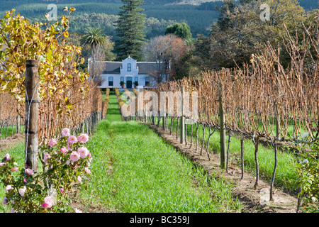 A traditional Cape Dutch homestead on a wine farm called Buitenverwachting in Constantia, Cape Town, South Africa Stock Photo