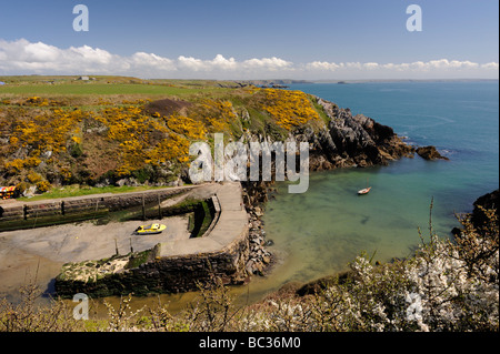 Porth Clais harbour on the Pembrokeshire coast path, Wales, UK Stock Photo