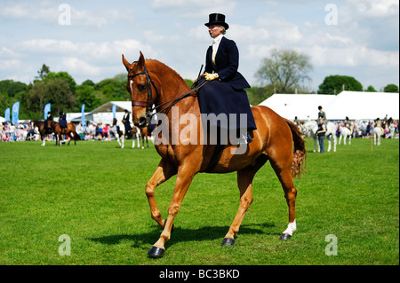 Elegant side saddle rider at an equestrian event during the Northumberland County Show at Corbridge  25 May 2009 Stock Photo