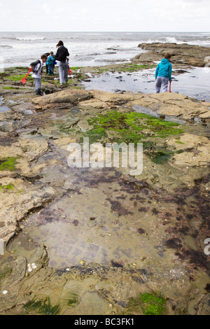 People playing by rock pools at Staithes in North Yorkshire, England, UK. Stock Photo