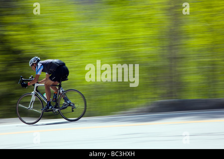 Cyclists riding on Highway 50 over Monarch Pass in Colorado during the annual Ride The Rockies bicycle tour Stock Photo