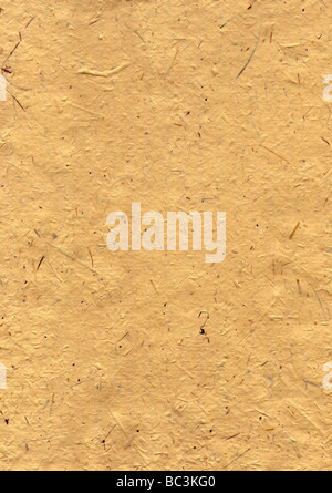 surface of the handmade paper with remains of plants - natural product Stock Photo