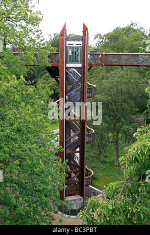 The tree-like Xstrata treetop walkway, 18m above the ground in the Royal Botanic Gardens, Kew, England. Stock Photo