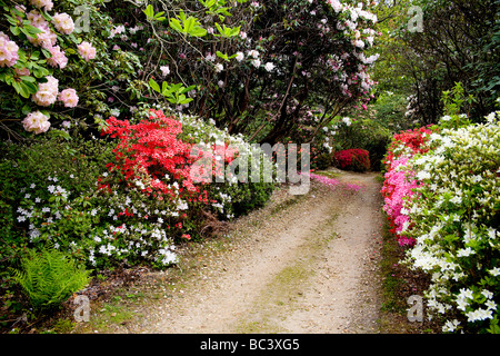 Exbury Ornamental Botanical Gardens in Hampshire, UK Stock Photo