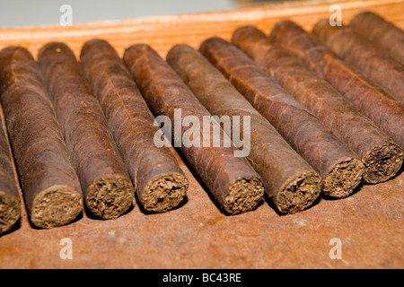 Dominican Republic - Centre - The Cibao Valley -  tobacco - Santiago - Cigar Factory Stock Photo