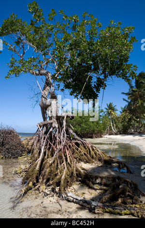 Dominican Republic - North Coast - Playa Grande - Gri Gri Lagoon Stock Photo