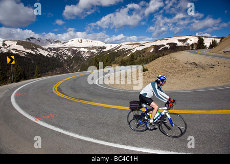 Cyclists riding up Independence Pass in Colorado during the annual Ride The Rockies bicycle tour Stock Photo