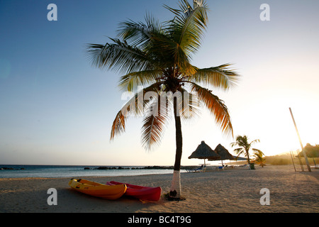 View over a paradise beach with palm tree on the Caribbean isle Curacao in the Netherlands Antilles Stock Photo