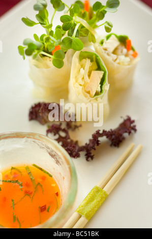 Appetizer of Japanese rolls Stock Photo