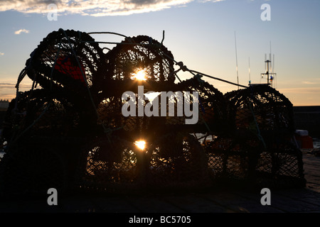 stack of lobster pots in setting evening sun in donaghadee harbour county down northern ireland uk Stock Photo