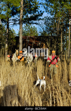 Bobwhite Quail Hunters with English Pointer on Point in the Piney Woods of Georgia Stock Photo