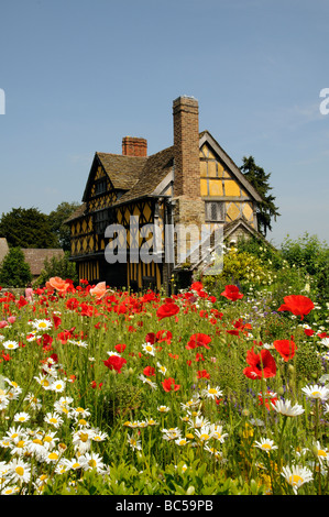 Stokesay Castle gatehouse wild flowers growing in the courtyard Shropshire England UK