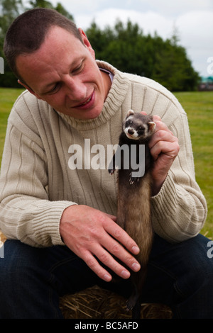 man with his pet polecat coloured female ferret, Edinburgh, Scotland Stock Photo