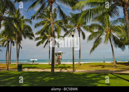 Waikiki beach scene with palm trees in morning-Waikiki Oahu Hawaii USA Stock Photo