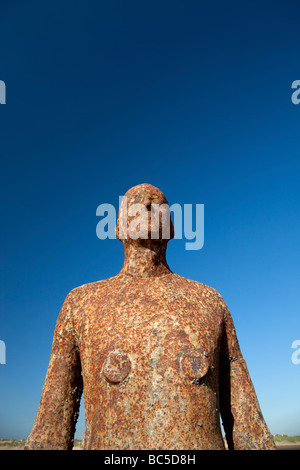 Sir Antony Gormley artwork Another Place is located on Crosby Beach which forms part of the Sefton Coast, within the Liverpool City Region of the UK. Stock Photo