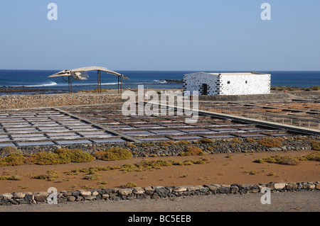 Whale skeleton and saline in Caleta de Fuste, Fuerteventura Spain Stock Photo